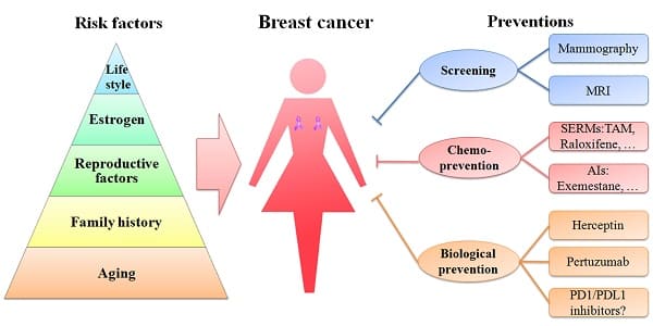 Breast-Cancer-Avoidable-Risk-Factors