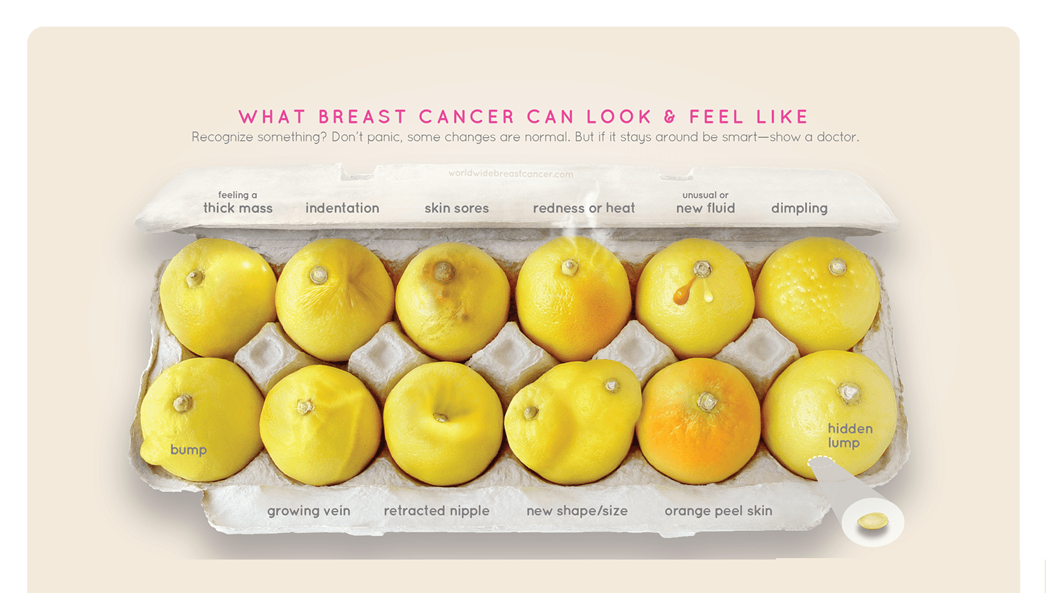 know-your-lemons-12signs